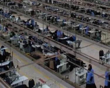 Colins Türkiye'yi bıraktı Mısır'a gitti! İşçiler işsiz kaldı