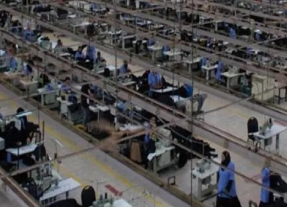 Colins Türkiye'yi bıraktı Mısır'a gitti! İşçiler işsiz kaldı