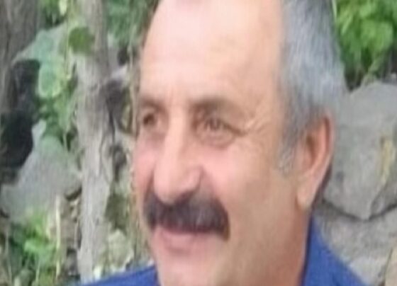 Kayseri'de üzerine tomruk düşen 58 yaşındaki işçi hayatını kaybetti