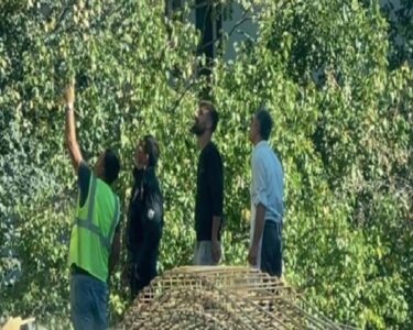 Malatya'da inşaattan düşen 34 yaşındaki işçi hayatını kaybetti