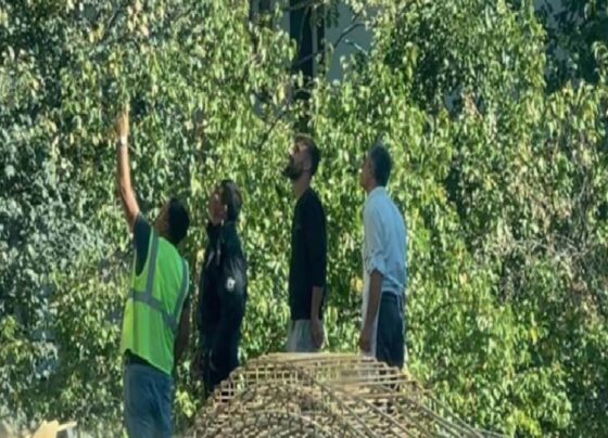Malatya'da inşaattan düşen 34 yaşındaki işçi hayatını kaybetti