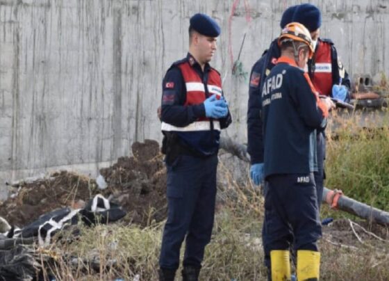 Sivas'ta foseptik çukuruna düşen 2 işçi hayatını kaybetti