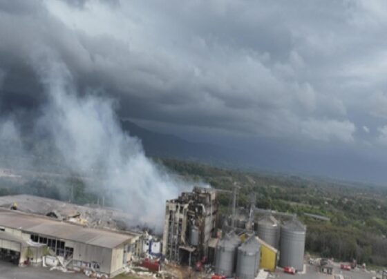 Sakarya'da 5 kişinin öldüğü fabrika patlamasının gerekçeli kararı açıklandı 12