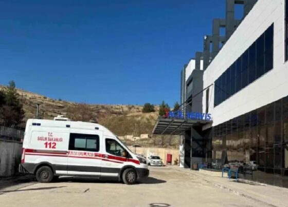 Diyarbakır'da peynir fabrikasında patlama: 5 yaralı 10