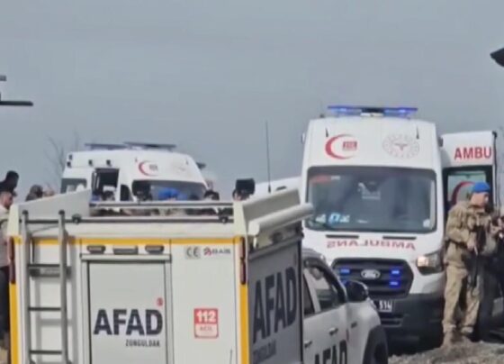 2 işçinin hayatını kaybettiği maden faciasında işletme sahibi tutuklandı