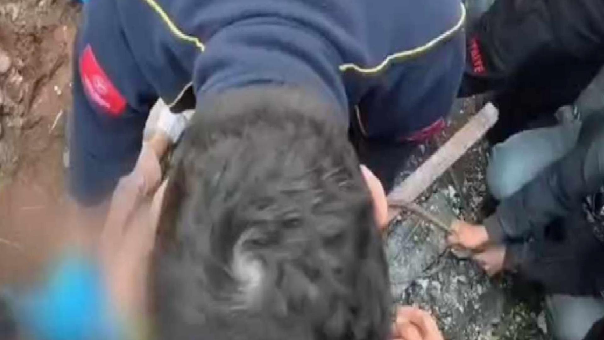 Diyarbakır’da inşaattan düşerek başına demir saplanan 57 yaşındaki işçi hayatını kaybetti