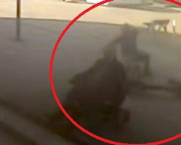 İstanbul Avcılar'da skuterdan düşerek ağır yaralanan belediye işçisi hayatını kaybetti