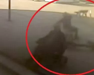İstanbul Avcılar'da skuterdan düşerek ağır yaralanan belediye işçisi hayatını kaybetti
