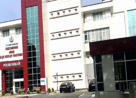 Kastamonu'da kestiği ağacın altında kalan işçi hayatını kaybetti