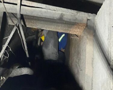 Samsun'da demir çelik fabrikasında 3 işçi elektrik akımına kapılarak hayatını kaybetti