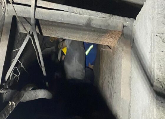 Samsun'da demir çelik fabrikasında 3 işçi elektrik akımına kapılarak hayatını kaybetti