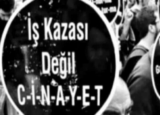 Tunceli’de inşaattan düşen 35 yaşındaki işçi hayatını kaybetti