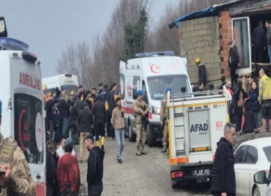 Zonguldak'ta 2 işçinin öldüğü maden faciasında, tutuklu ocak sahibi tahliye edildi