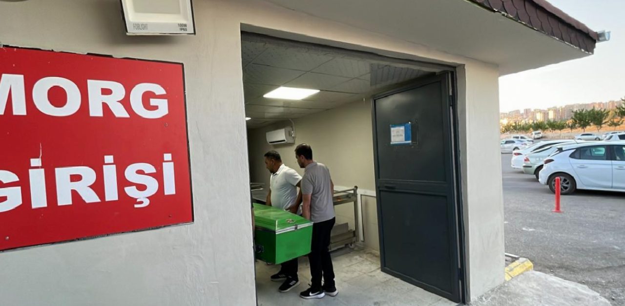 Şanlıurfa'da 5 metre yükseklikten düşen elektrik işçisi hayatını kaybetti 1 Şanlıurfa'da 5 metre yükseklikten düşen elektrik işçisi hayatını kaybetti