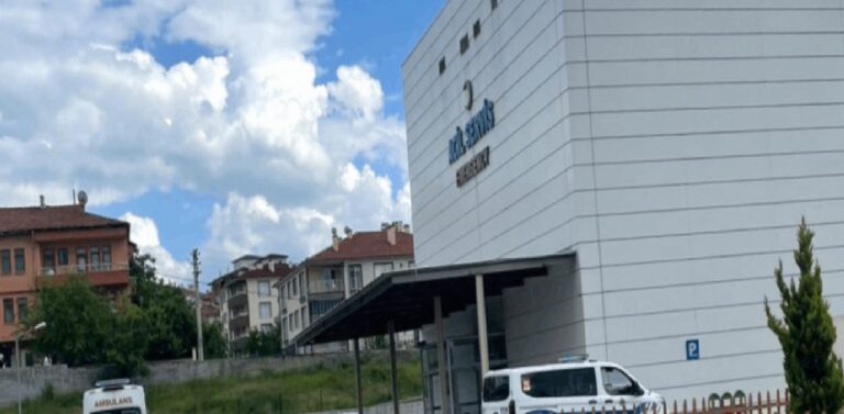 Kastamonu’da 65 yaşındaki işçi arı sokması nedeniyle hayatını kaybetti 23 Kastamonu’da 65 yaşındaki işçi arı sokması nedeniyle hayatını kaybetti